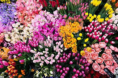 科隆：《杀戮空间3》宣布登陆XSX＆S＆PS5＆PC